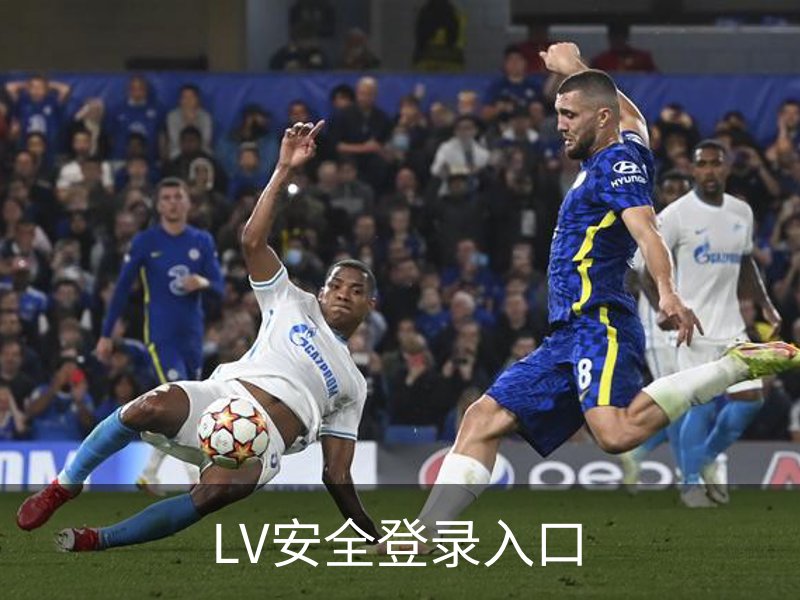 LV安全登录入口概况